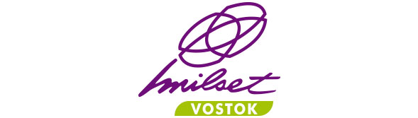 MILSET Vostok regional logo
