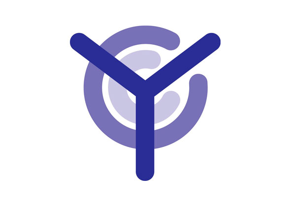 Young Citizens Conferences programme